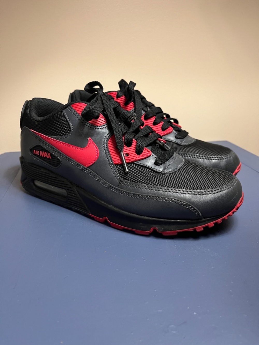 Nike ProMax 90 Black and Red Air Max Sneakers